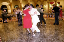 Click for a larger image - Tango0126 - Copyright dreamsandmemories.net